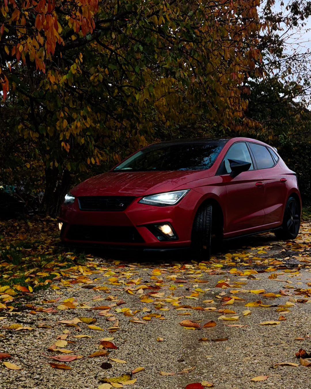 Seat Ibiza Collection